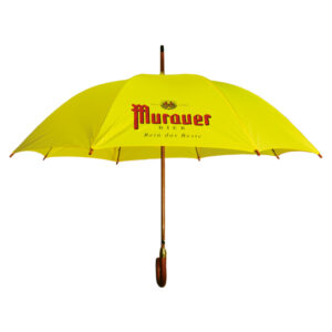 Regenschirm